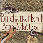 Bain Mattox: Bird in the Hand