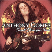 Sweet Stringing Soul by Anthony Gomes