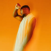 Chromonicci: Fold the Light.