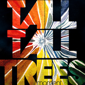 Tall Tall Trees: moment