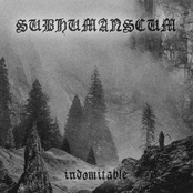Indomitable