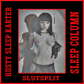 SLUTSPLIT