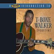 Long Skirt Baby Blues by T-bone Walker