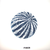 fiber