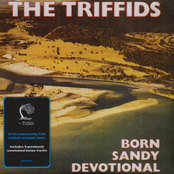 Born Sandy Devotional [Deluxe Edition]