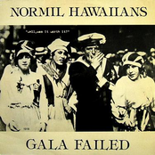 Party Party by Normil Hawaiians