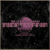 Night Train Odyssey: The Adventures Of Bobby Night Train
