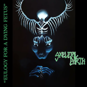 Eulogy of a Dying Fetus