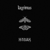 LAGRIMAS // HABAK