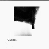 Orchin