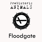 Floodgate