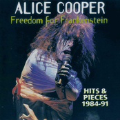 It Rained All Night by Alice Cooper