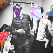 wolf feet