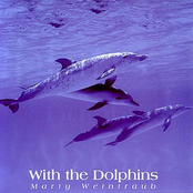 Dolphin Serenade by Marty Weintraub