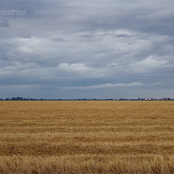 How to Feel The Heat