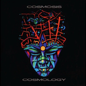 Cosmology