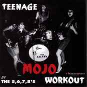 The 5.6.7.8's: Teenage Mojo Workout