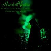 An Odyssey to the Darkgreen Music (Dandelion Green Synth)