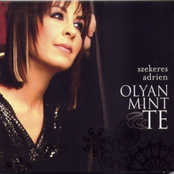 Olyan, mint te