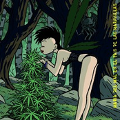 En el país de las maravillas