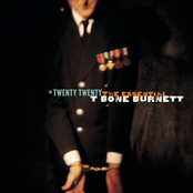 When The Night Falls by T-bone Burnett