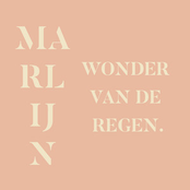 Wonder Van de Regen
