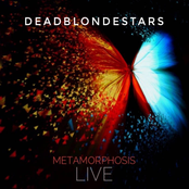 Metamorphosis Live