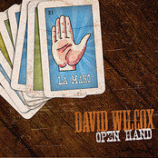 Outside Door by David Wilcox