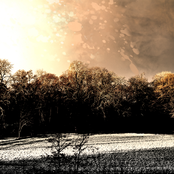 Endings & Beginnings