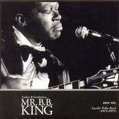 Lay Another Log On The Fire by B.b. King