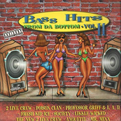 Bass Hits From Da' Bottom Vol. 2