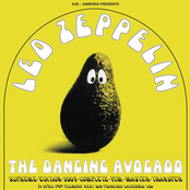 The Dancing Avocado