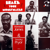 Shake Your Moneymaker