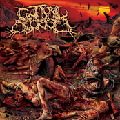 Gluttonous Portions Of Intestinal Seepage by Guttural Secrete