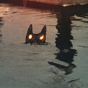 Hot Dress: Grave Robin