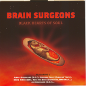 Gun by Brain Surgeons