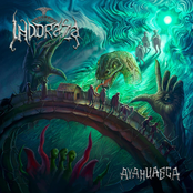 Ayahuasca