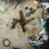 No Flowers Grow In Cement Gardens