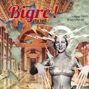 To Bigre ! Or Not To Bigre !?