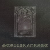 Stellar Forest - EP