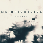 Mr. Brightside - Single