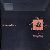 Dromedary