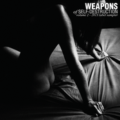 Weapons Of Self​-​Destruction, Vol​.​2
