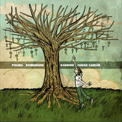 Polina - Bonehouse - Kaddish - Todos Caeran Split