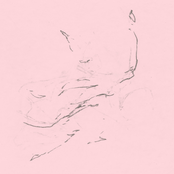 Lilies of The Fields