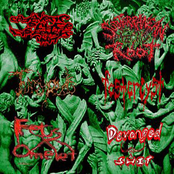 6 Way Shitcore Split