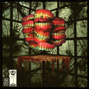 The Inevitable Fork LP (Full LP)