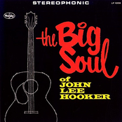 She Shot Me Down by John Lee Hooker