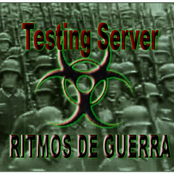 Testing Server