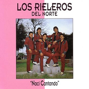 Para Que Voy A Rogarte by Los Rieleros Del Norte